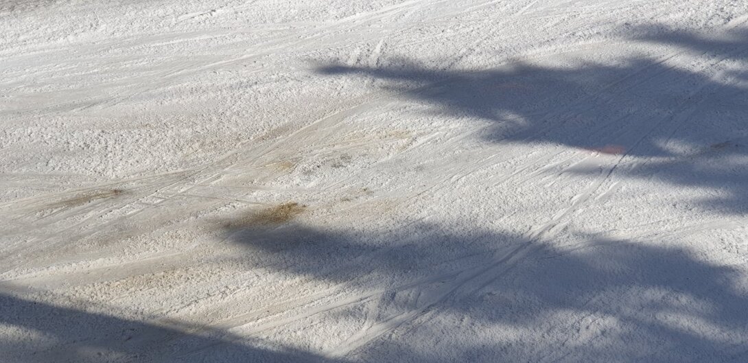 20230318_105955.jpg