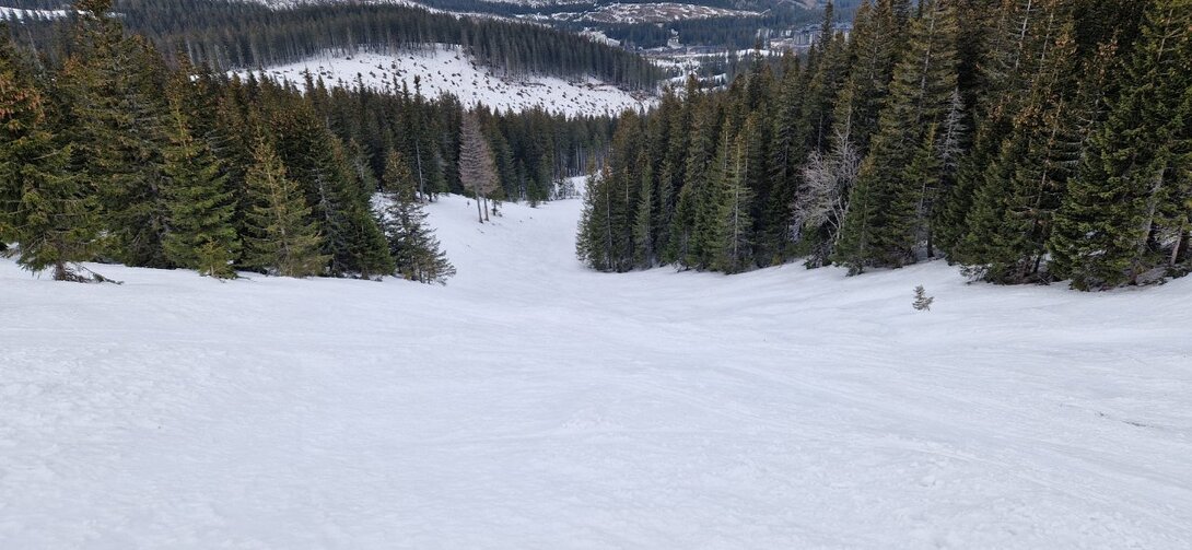20230322_095216.jpg