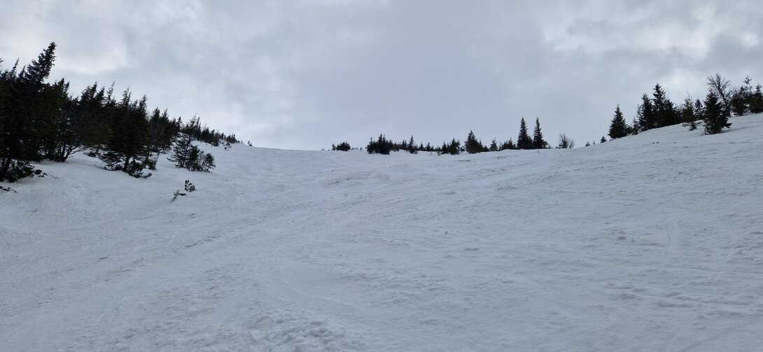 20230322_095219.jpg