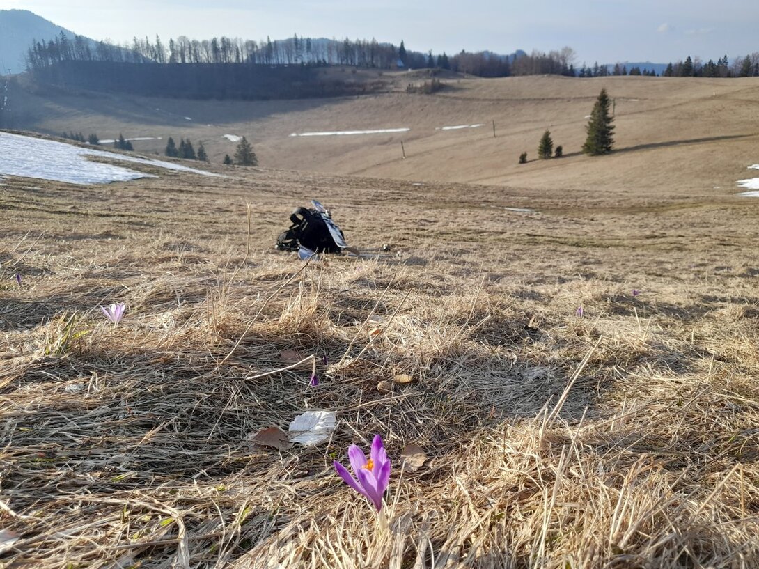20230322_161425.jpg