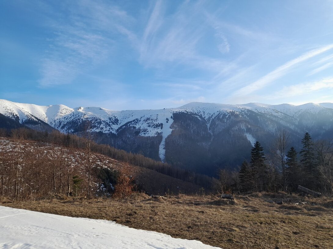 20230322_164638.jpg