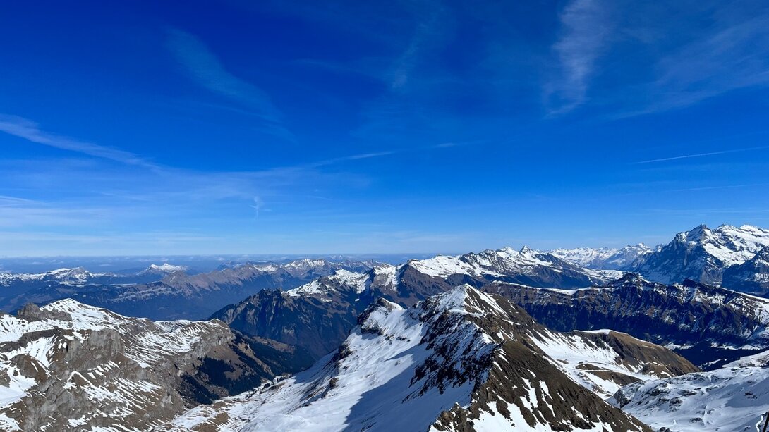 30080465-EFBE-4C44-9880-A1B1DE19B12F.thumb.jpeg.a1954d97dd71b0d64783ee445d05189f.jpeg