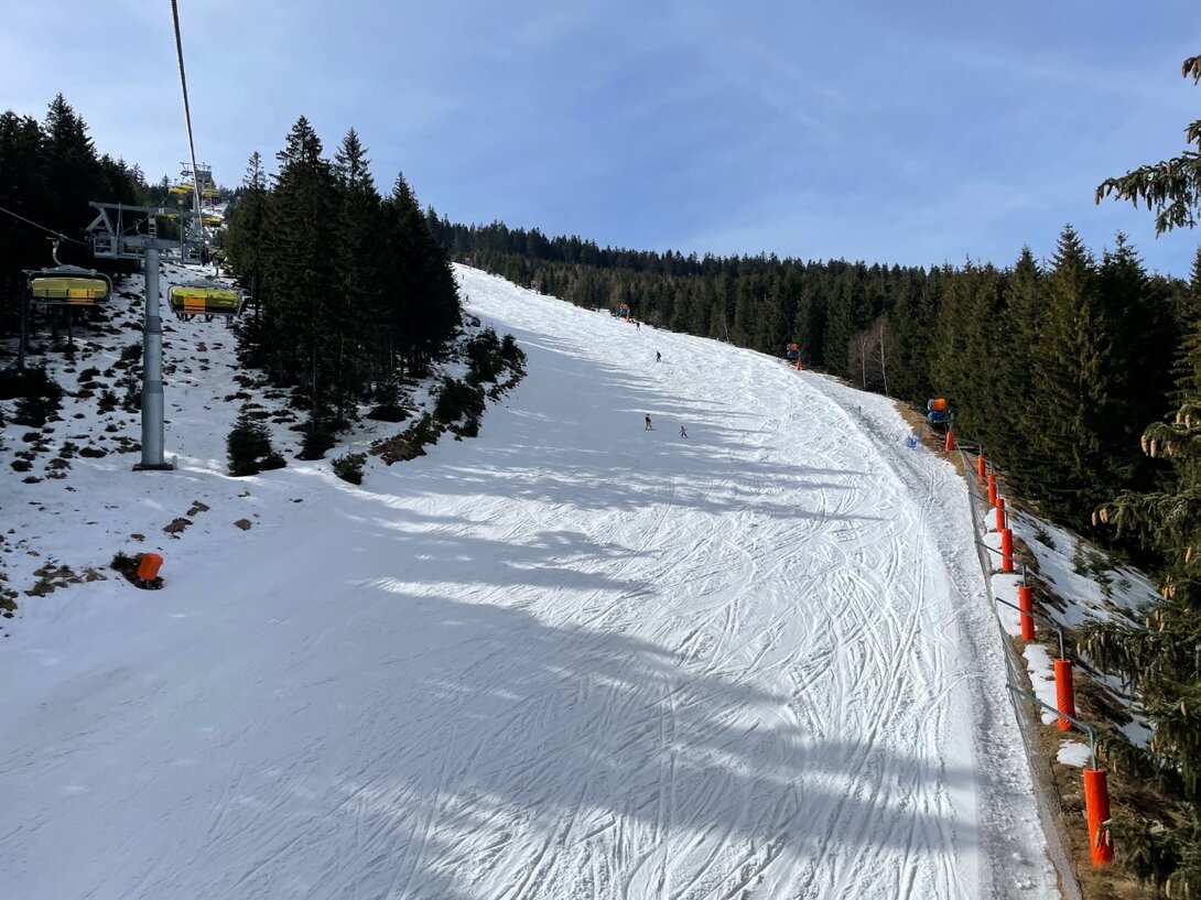 31D61009-6016-49D9-8595-3320EC893C98.jpeg