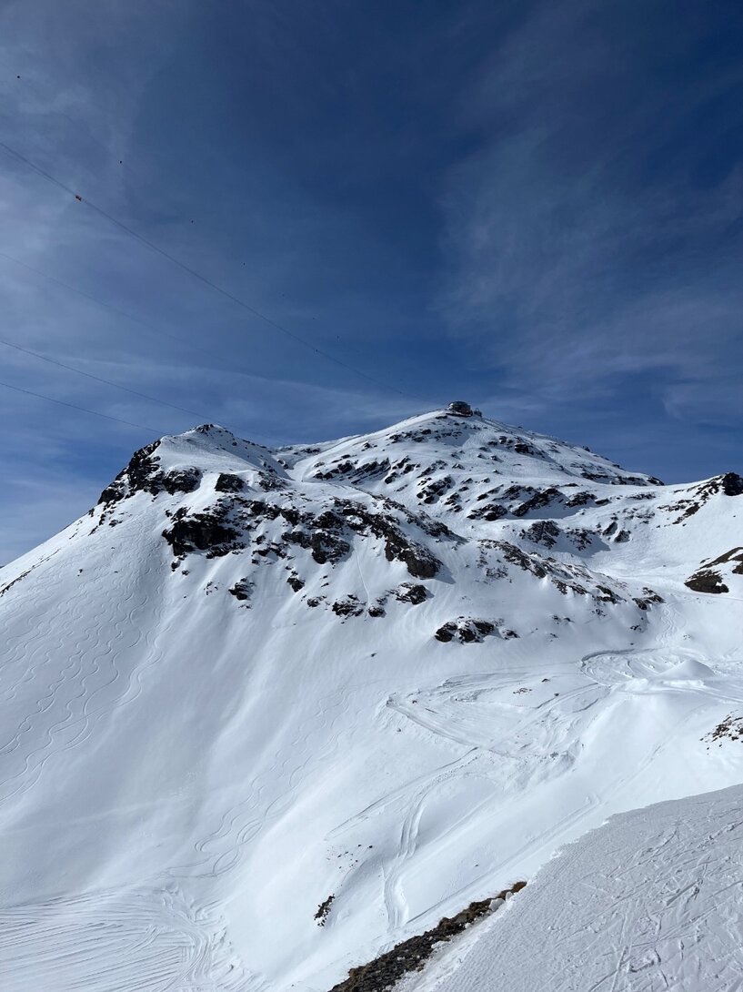 C1A9AF0C-56A2-4EAF-993F-5676ED613503.thumb.jpeg.ecf8d6f601ff2b63d94023279e655ed3.jpeg