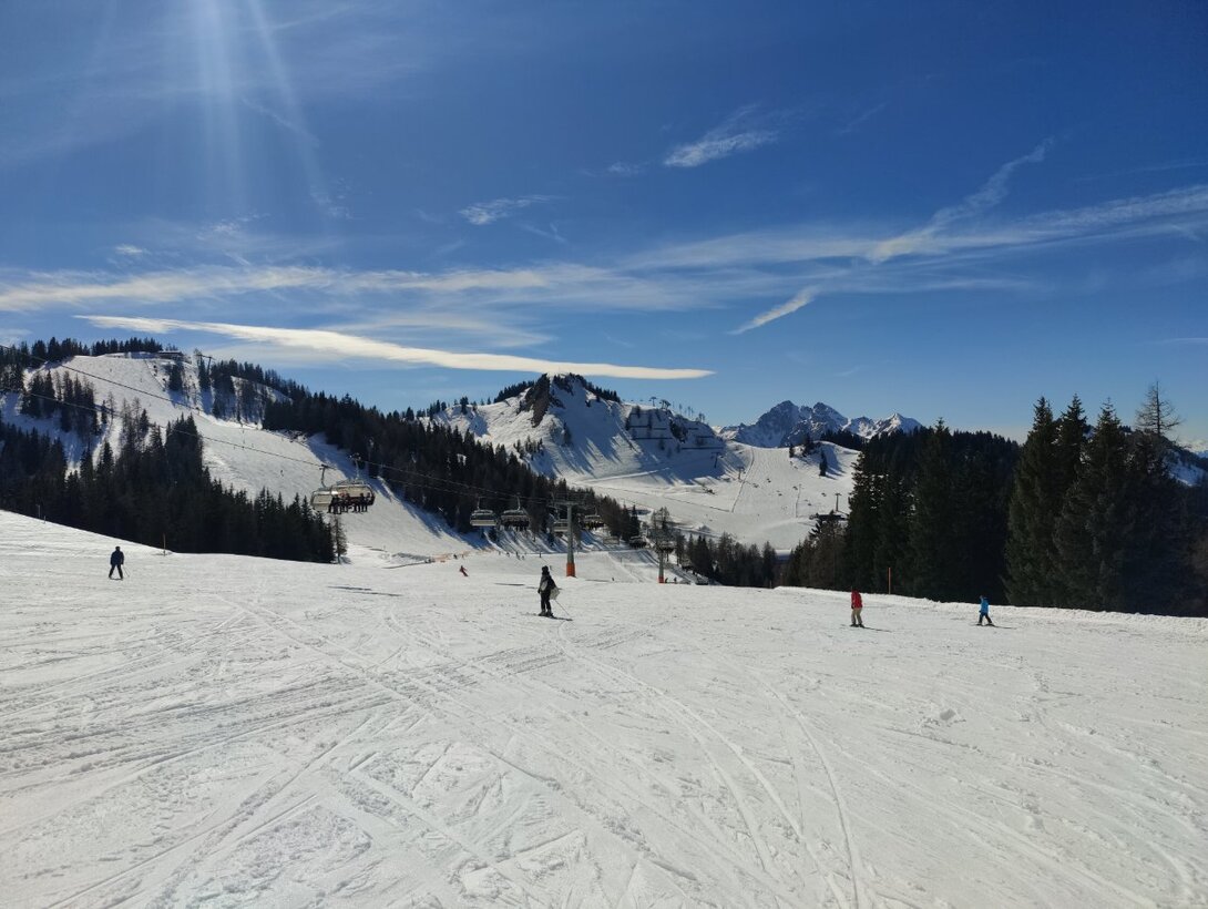 IMG20230318135159.jpg