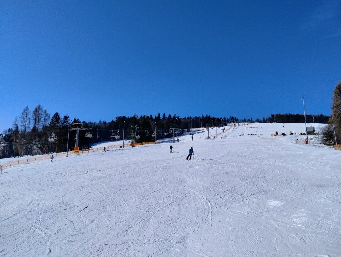 IMG_20230301_104142207_HDR.thumb.jpg.64a73086116cf94d4bdc7d61e0adbcd3.jpg