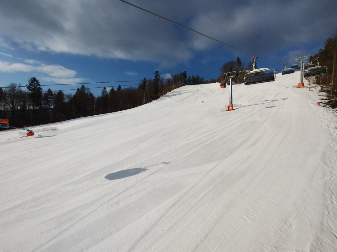 IMG_20230308_081302717.thumb.jpg.1e9bbb8c18e23b1e60b10769ad1cece8.jpg