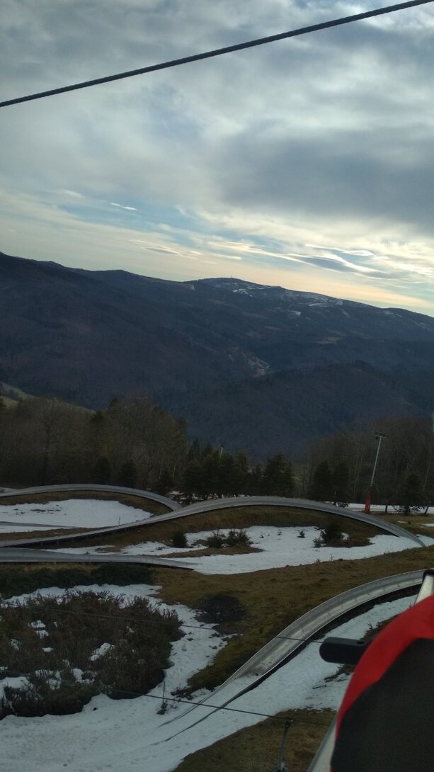 IMG_20230310_081107.jpg
