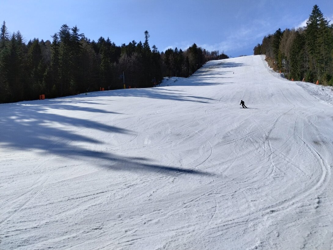 IMG_20230310_094402463_HDR.thumb.jpg.bb44f6a220427cb42faa1b2ae9b466ce.jpg