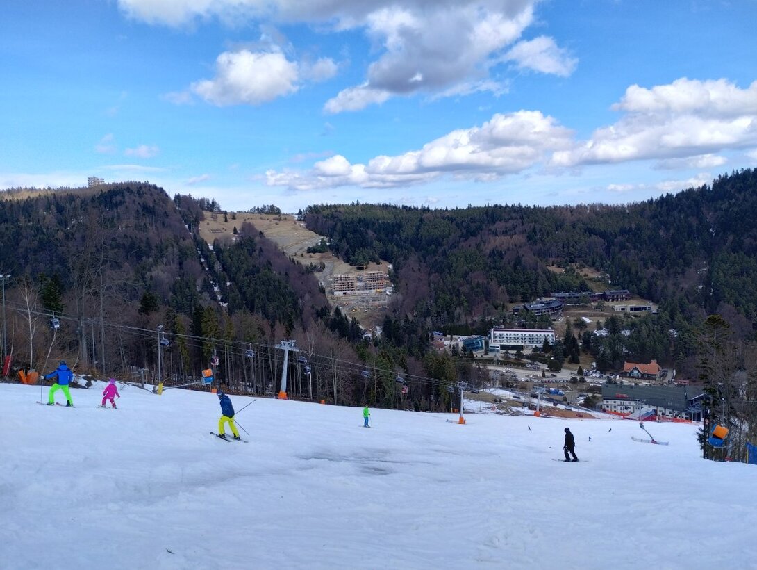 IMG_20230310_122110787_HDR.thumb.jpg.f43f2e8201a708cf0e69d597afde2e57.jpg