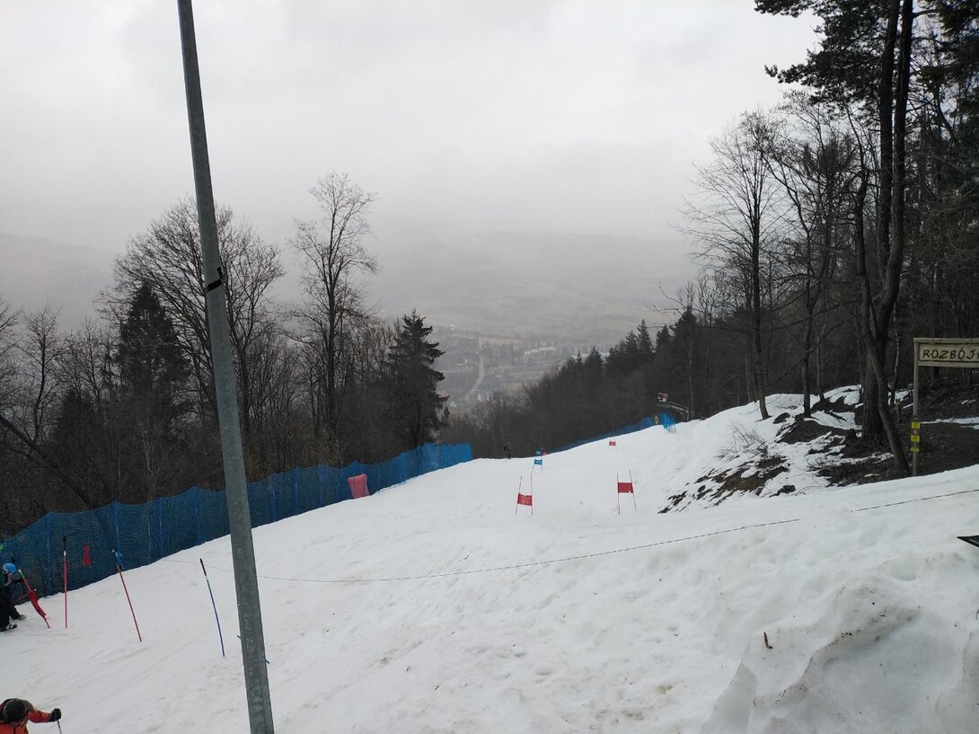 IMG_20230311_105105.jpg