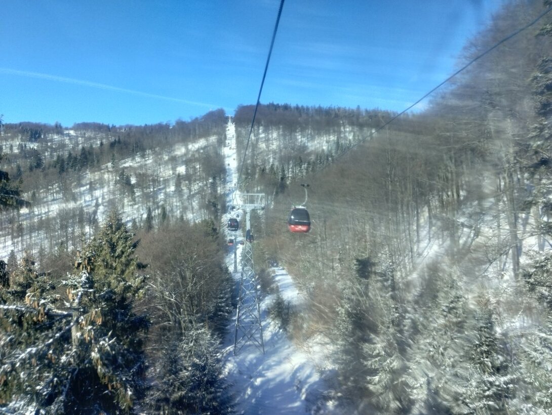 IMG_20230312_082838968_HDR.thumb.jpg.83512303abad29c1be9cf3b25dcf2bc8.jpg