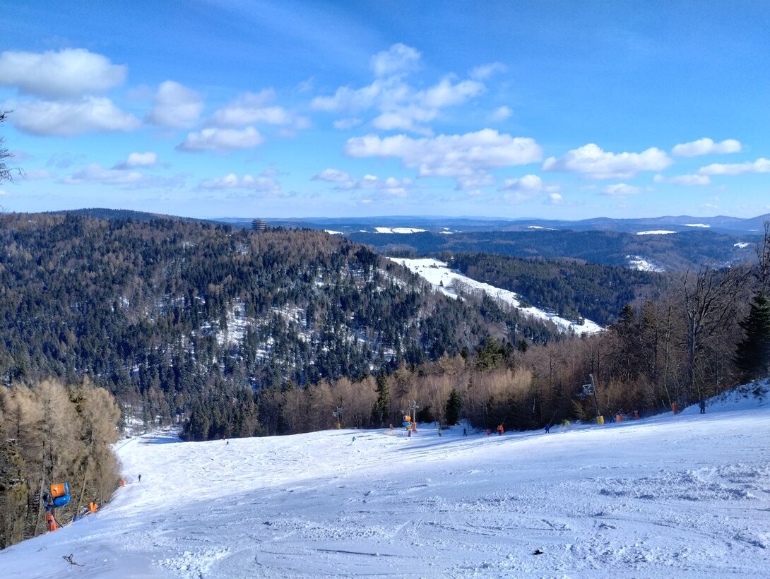 IMG_20230312_101906867_HDR.thumb.jpg.3635305ee0e137b876fc9d22ffb32ee6.jpg