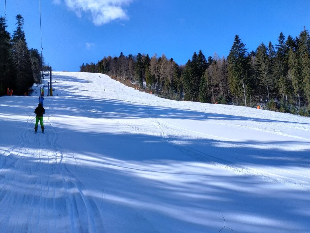 IMG_20230312_102223104_HDR.thumb.jpg.ab3d8f0226e41eba60dfcbac0a09df6c.jpg