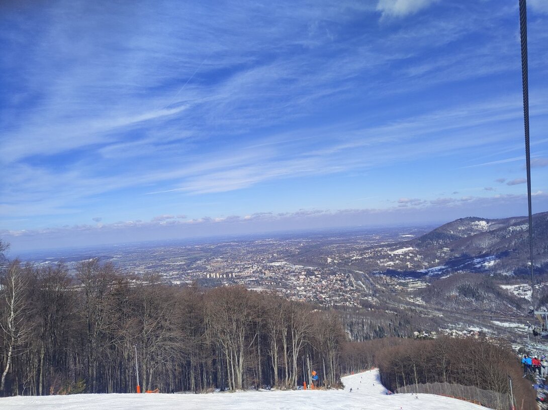 IMG_20230312_114947.jpg