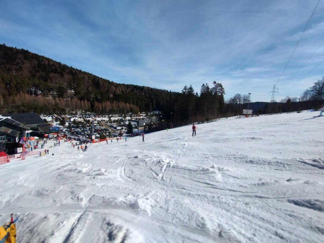 IMG_20230312_131038427_HDR.thumb.jpg.a49ce540d9f9e26f07379d3b0e90d2ee.jpg
