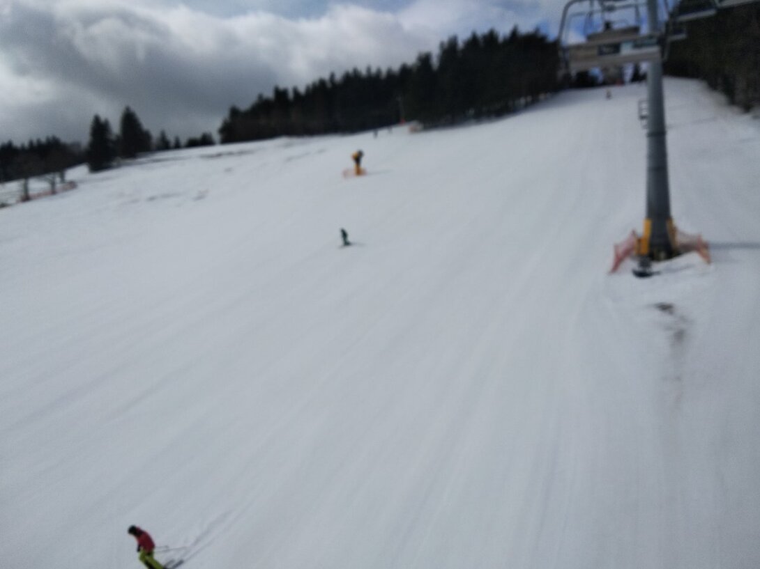 IMG_20230315_104440.jpg