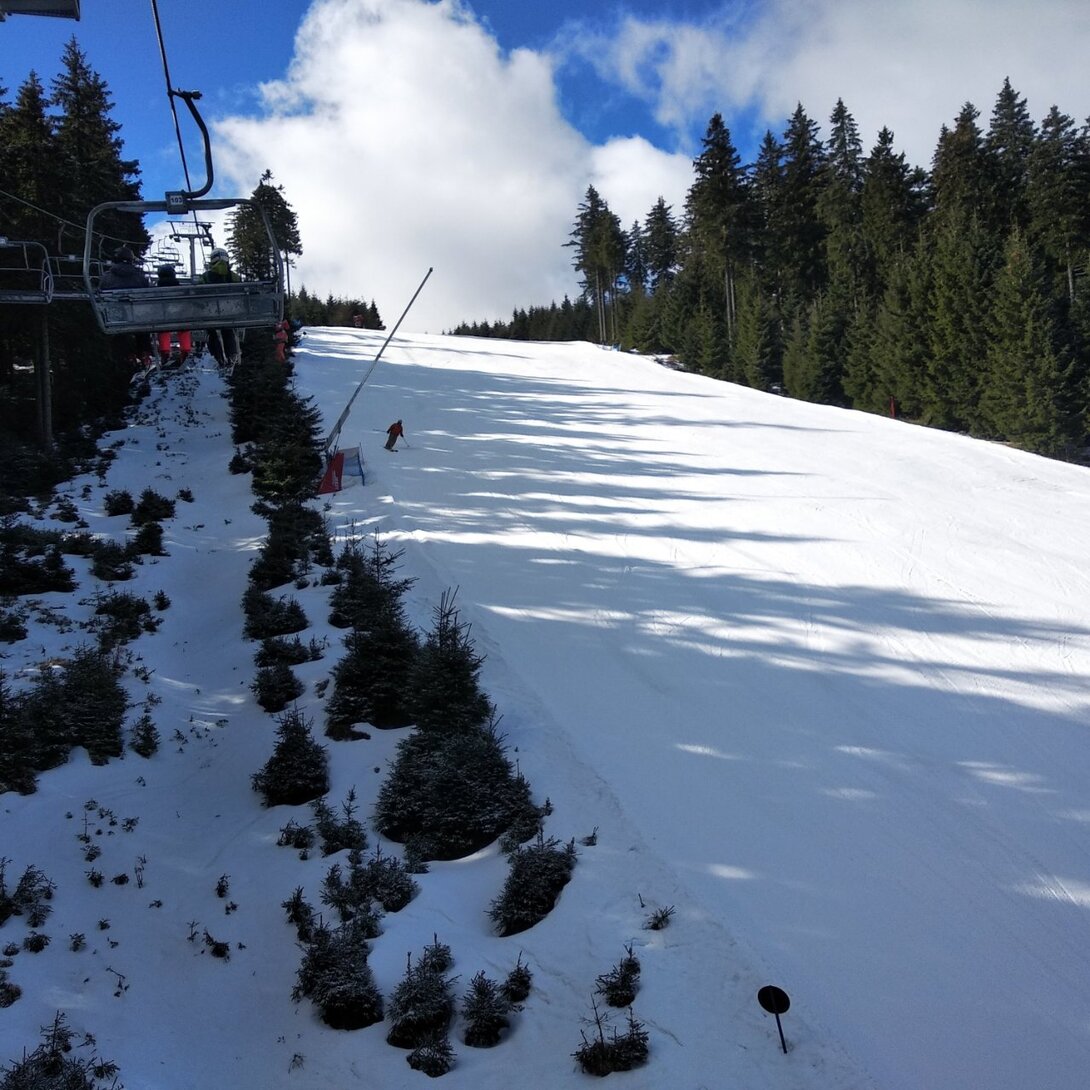 IMG_20230316_101440.jpg