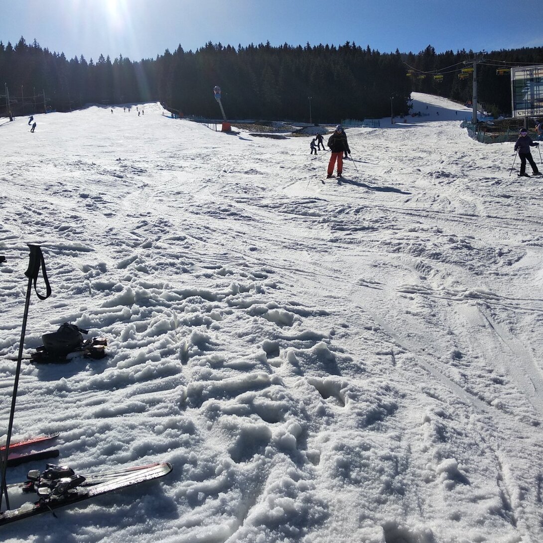 IMG_20230316_141019.jpg