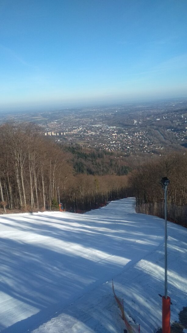 IMG_20230317_081001.jpg