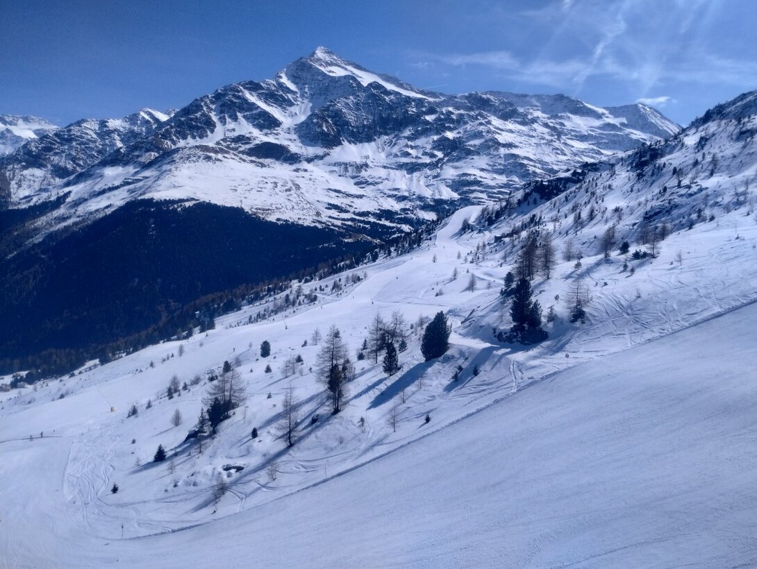 IMG_20230323_111705700_HDR.thumb.jpg.f20a676c509f085f9efbae00ab87c5a9.jpg
