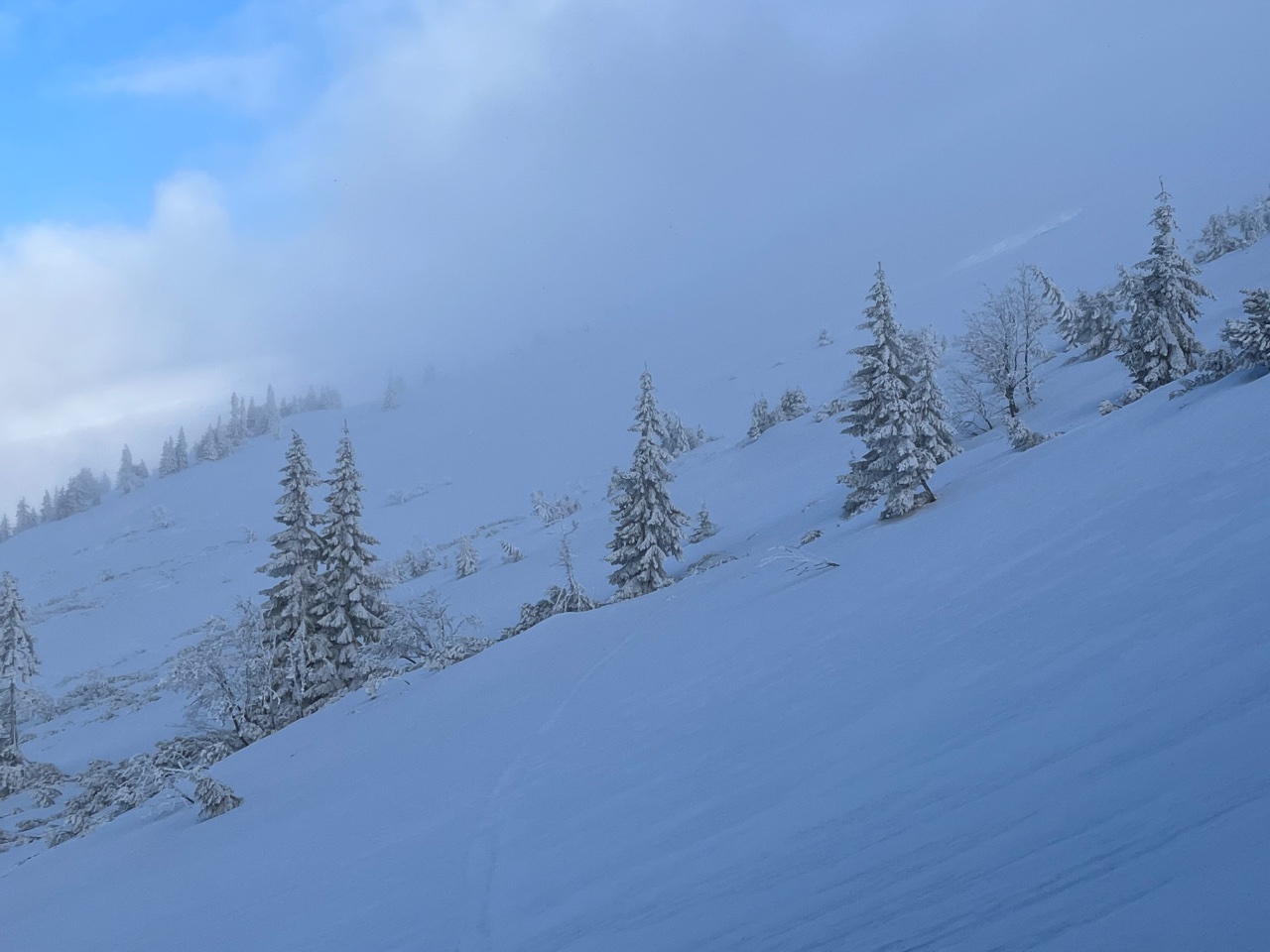 094C08D5-AD2F-4726-9388-487C8BDCDB26.jpe