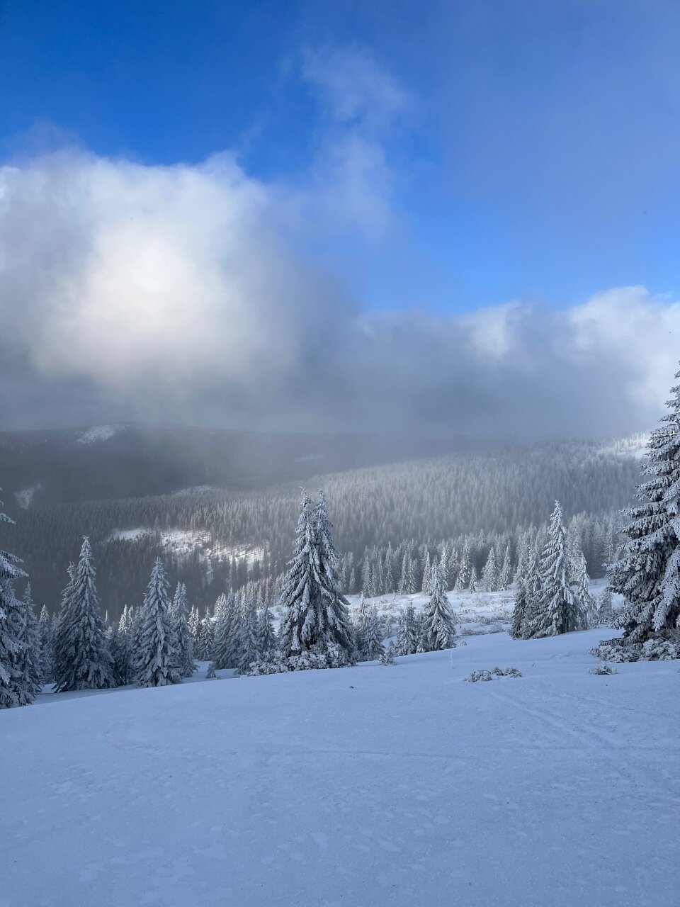 AFB31730-D2BD-48A3-BAEC-F6F06DA102E6.jpe