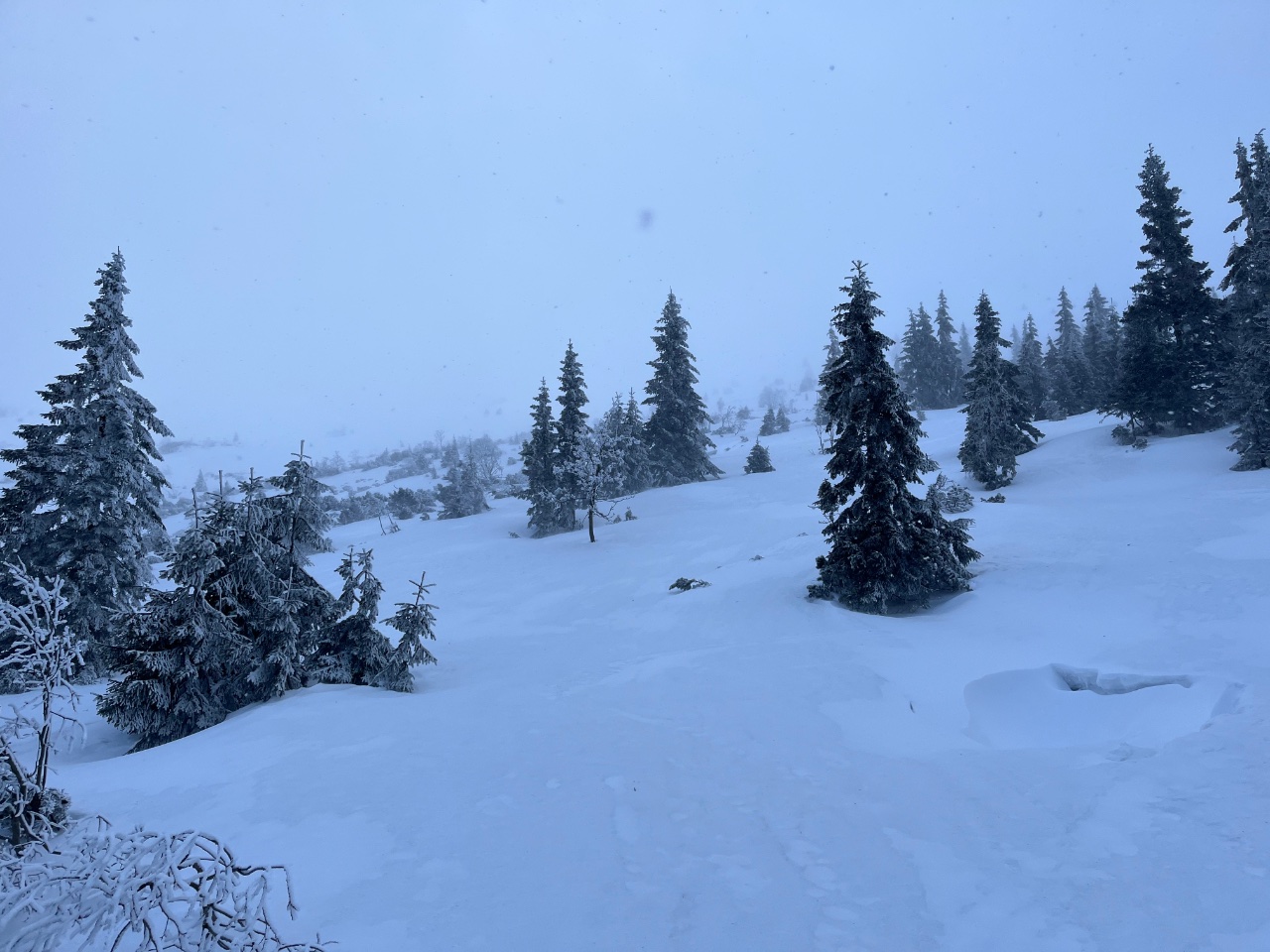 DF1A939B-E7B1-4D53-9F97-FDD60EB19904.jpe