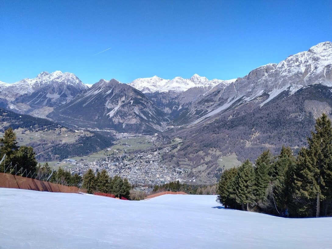 IMG_20230328_121443422_HDR.thumb.jpg.a4c02d221c4c0fe4659c0c7064b12d84.jpg