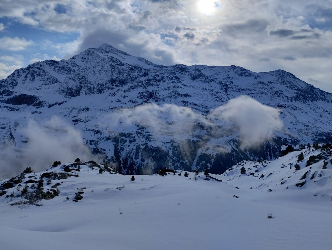 IMG_20230331_093255858_HDR.thumb.jpg.6ca050293be9dc6c63c37e5bd22050f2.jpg