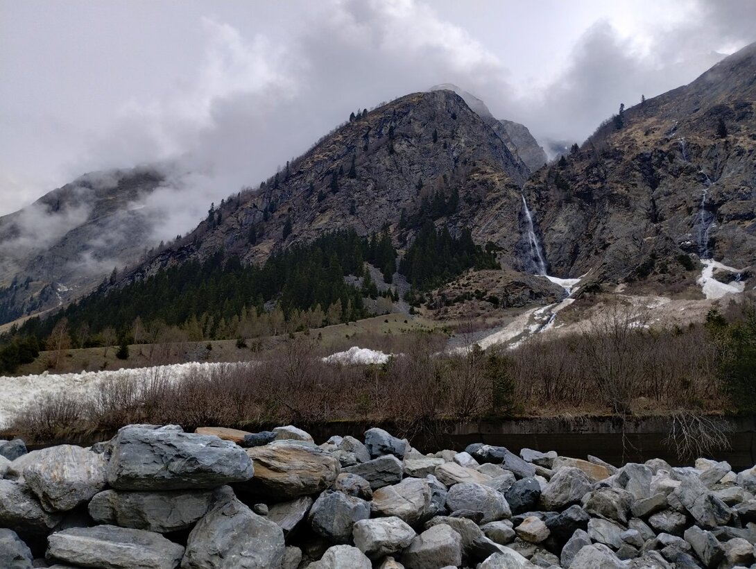 IMG_20230501_091031468_HDR.thumb.jpg.2b5be7b4337c9e8e1a07ab69225f5e53.jpg