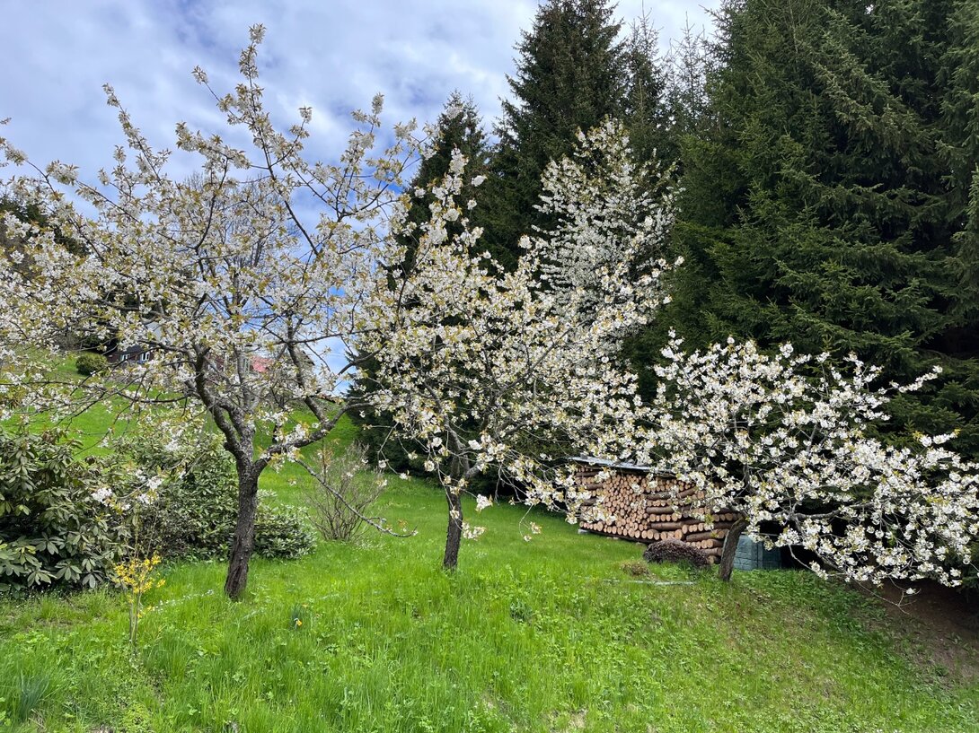 IMG_9086.jpeg