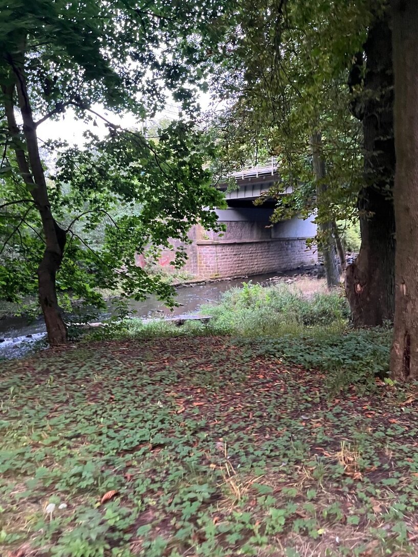 IMG_0104.jpeg