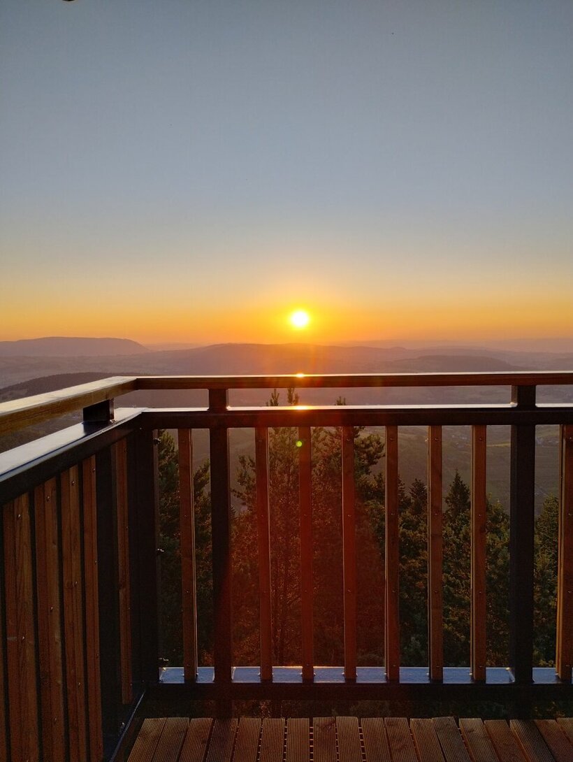 IMG_20230716_050306505_HDR.thumb.jpg.9e492c1be39e8cd16d8b1c82bcd5598a.jpg