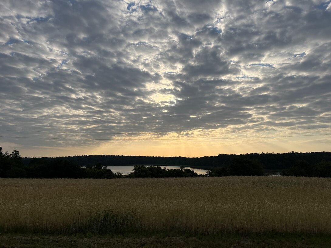 IMG_9746.jpeg