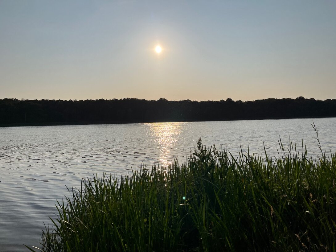 IMG_9785.jpeg