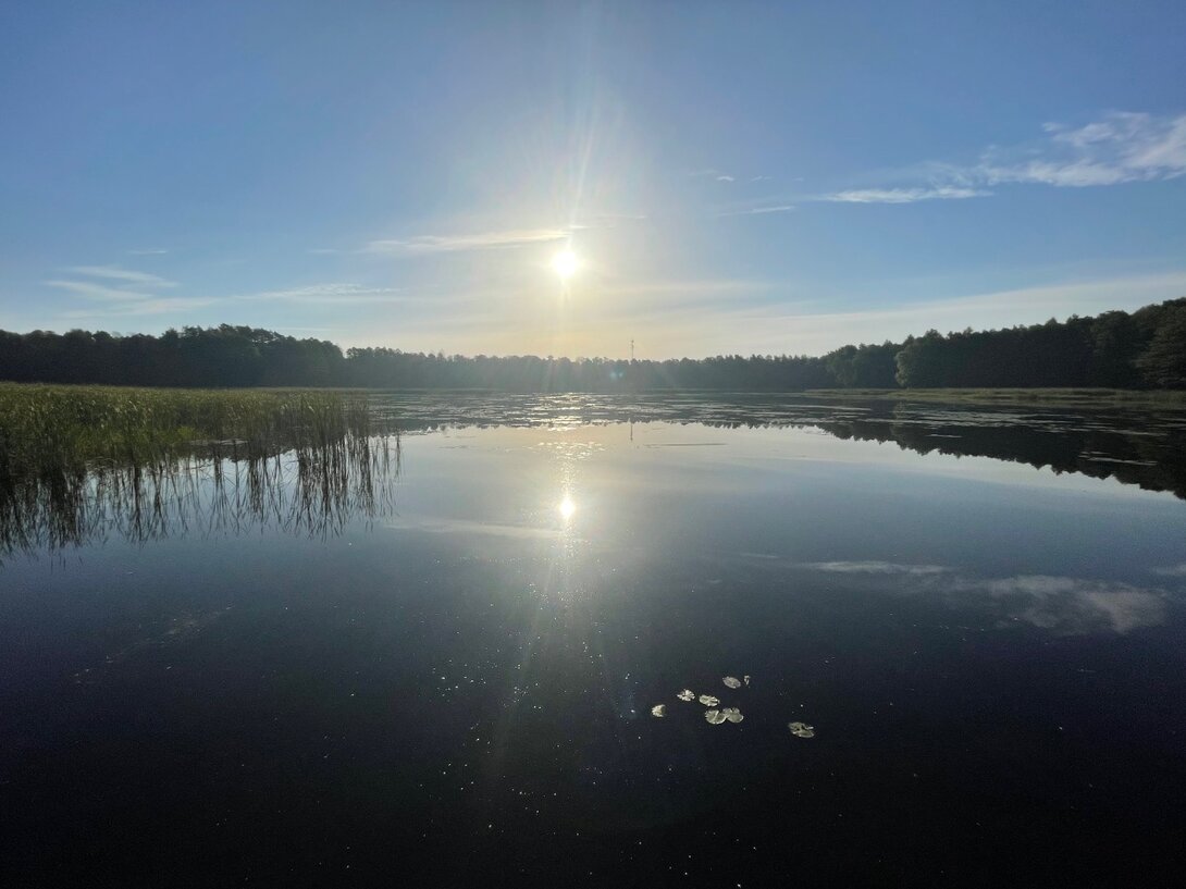 521C0357-98F2-429A-88DC-9F0A15D4A69D.jpeg