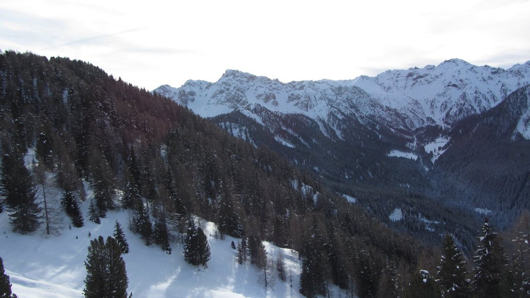 IMG_2275.JPG