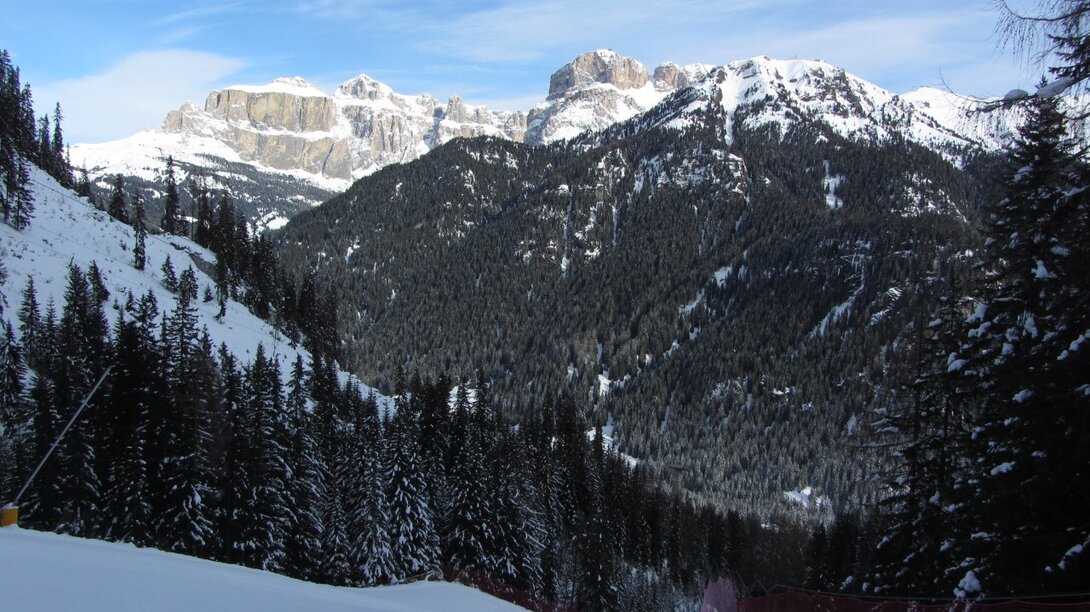 IMG_2312.JPG