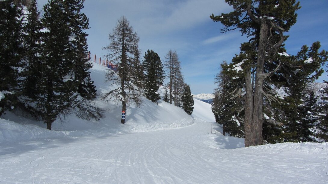 IMG_2408.JPG
