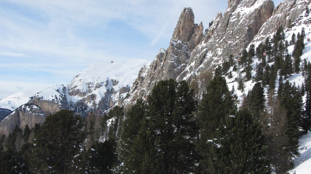 IMG_2479.JPG