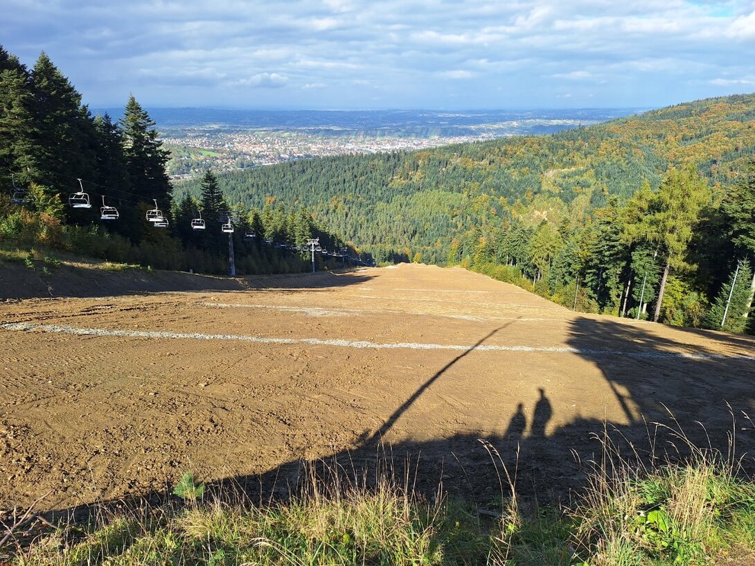 20231016_134034.jpg