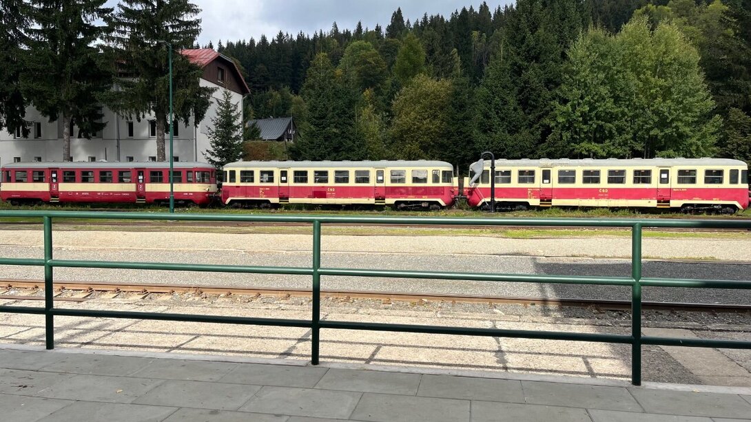 IMG_2601.jpeg