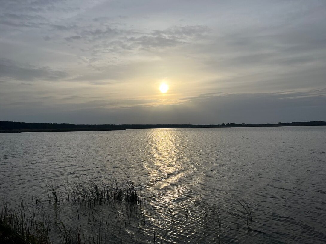 IMG_2989.jpeg