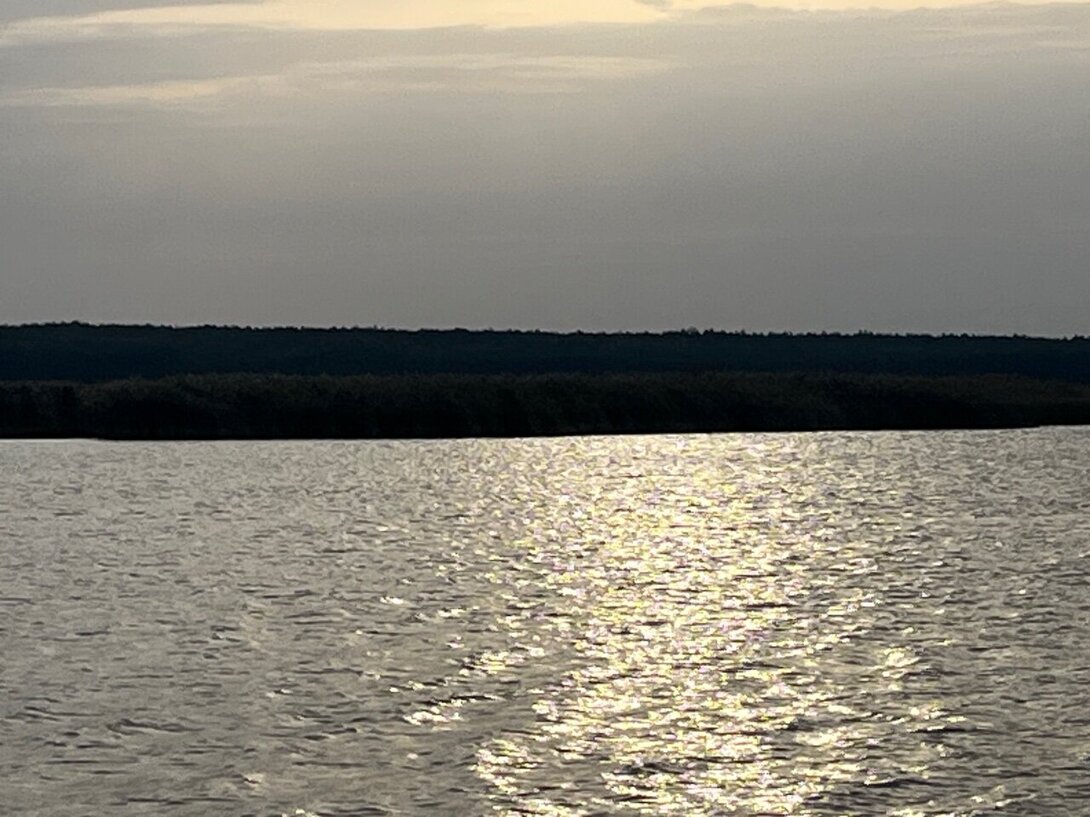 IMG_2994.jpeg