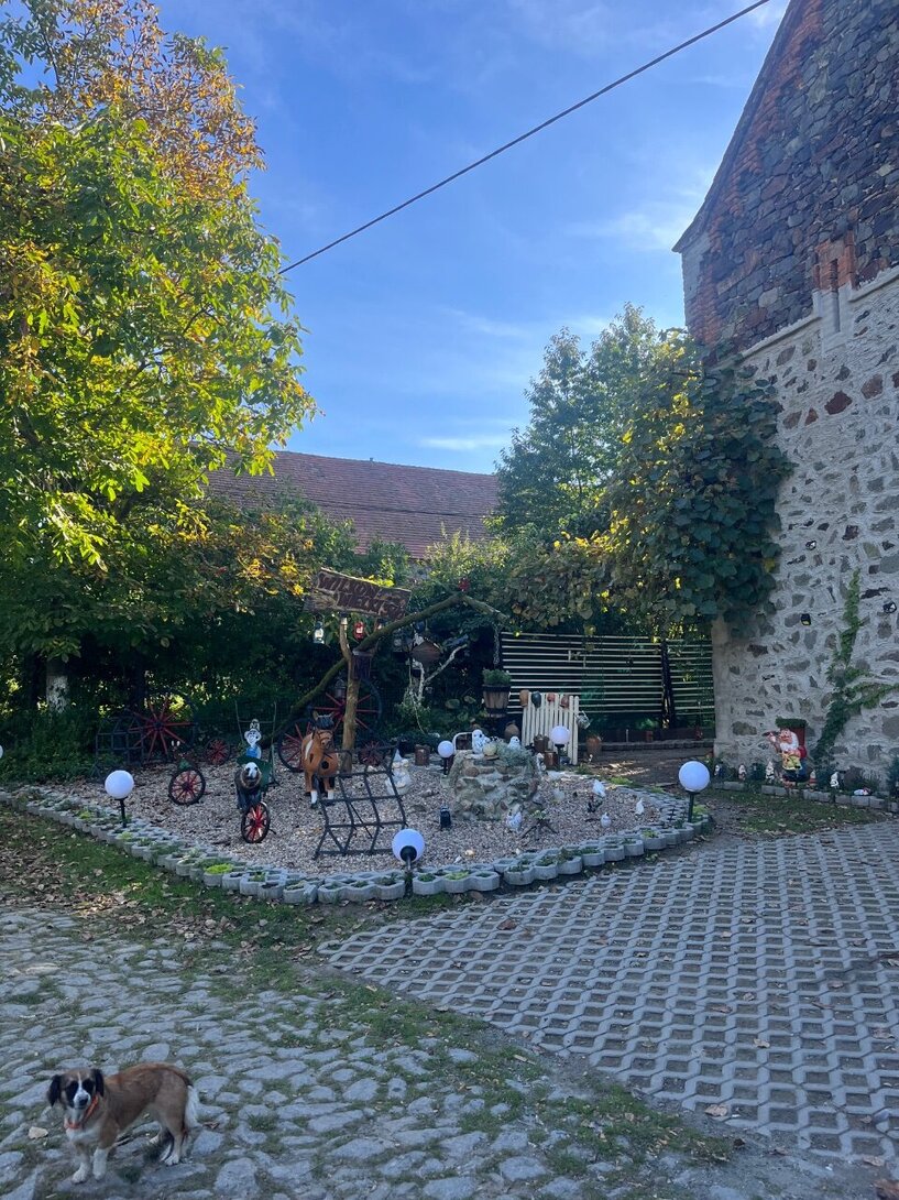 IMG_3236.jpeg