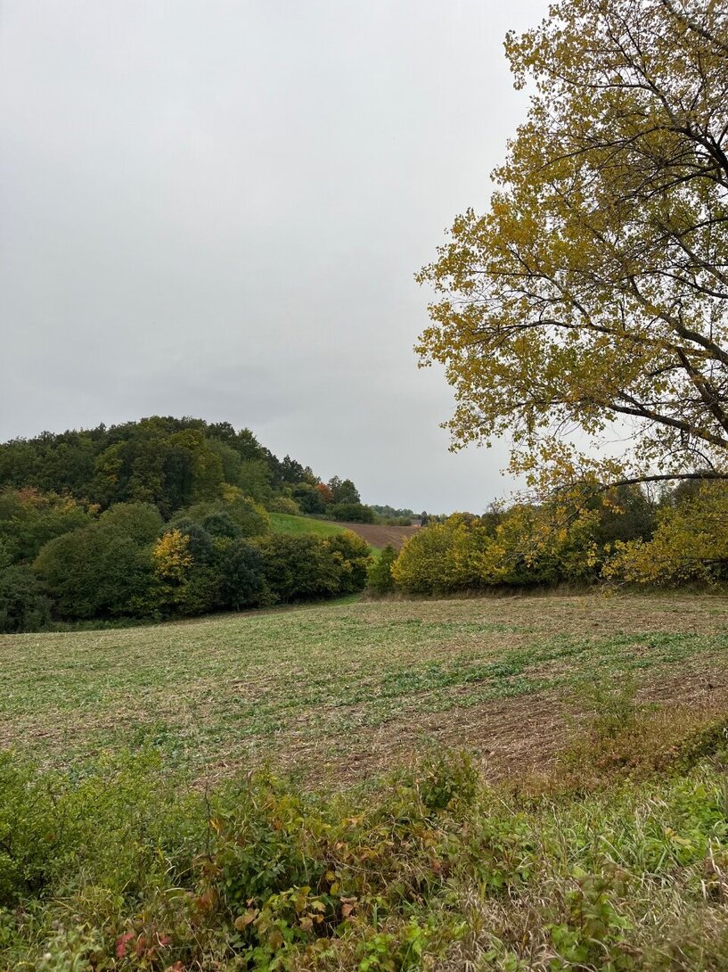 IMG_3368.jpeg