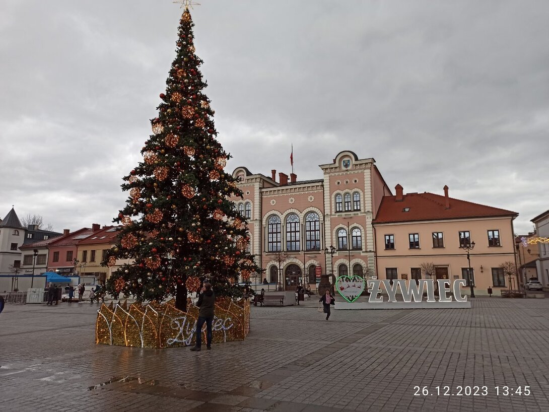 IMG_20231226_134531.jpg