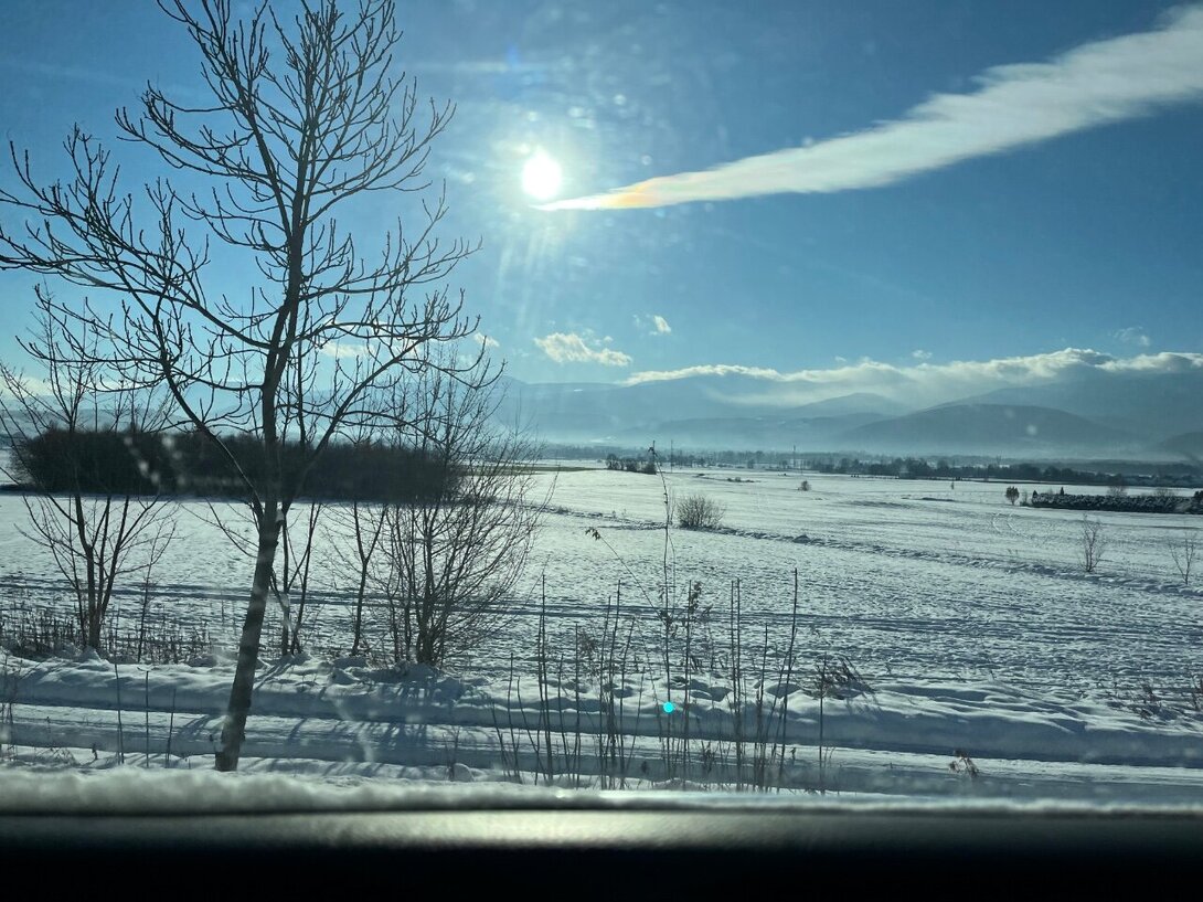 IMG_4584.jpeg