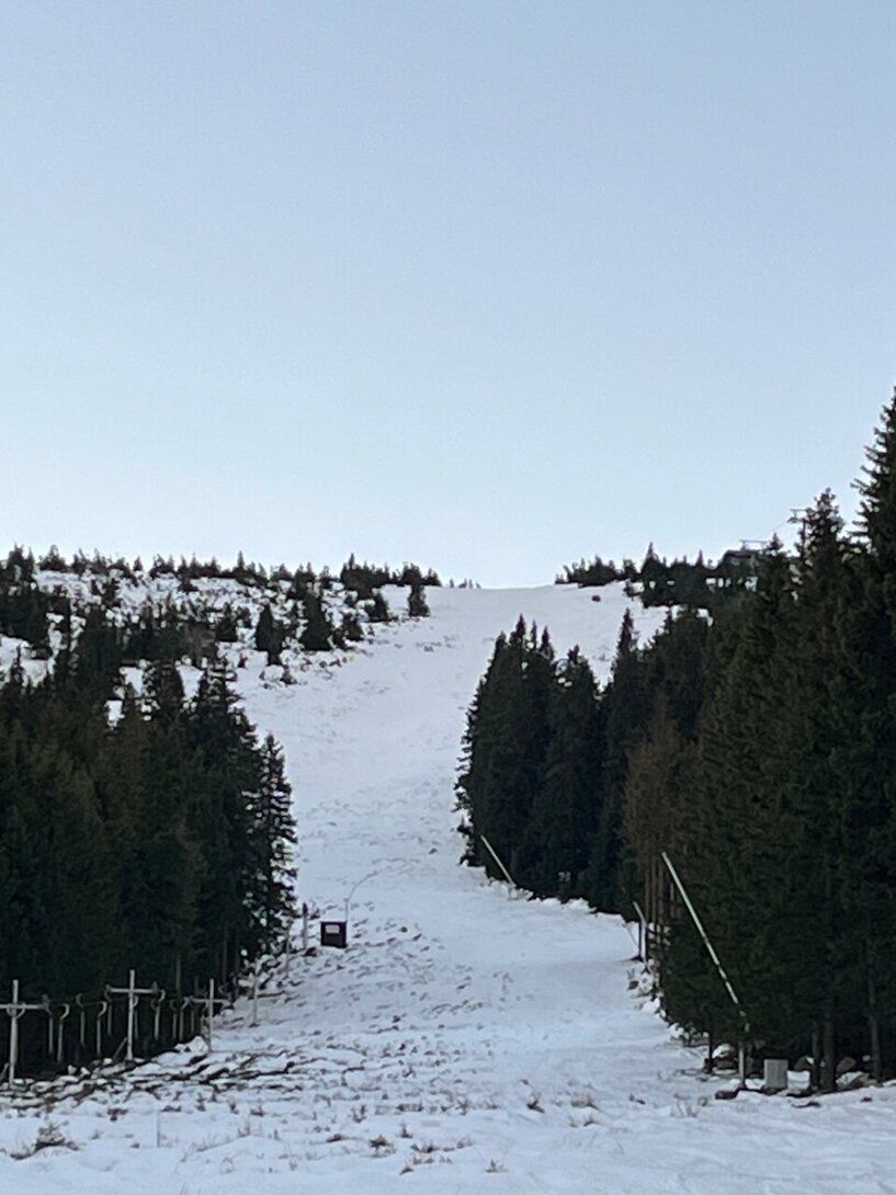 IMG_5308.jpeg
